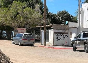 Encuentran tres personas y dos caninos muertos en interior de un vehículo en Sonora