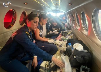 Trasladan a bebés de Acapulco a hospitales de CDMX