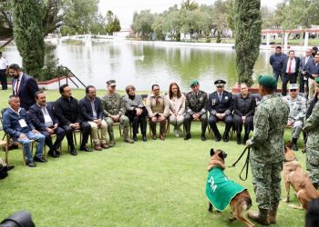 Gobierno federal y del Edomex suman esfuerzos para evitar el maltrato animal en la entidad, implementan decálogo de acciones.
