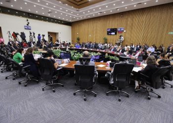 Morena anuncia que el INE no tendrá recorte presupuestal 2024; Guadalupe Taddei y Carla Humphrey señalan que esto les da tranquilidad y gusto