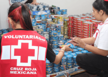 Por el momento se requieren alimentos para damnificados en Guerrero, no se está recibiendo ropa ni agua: Oxenhaut