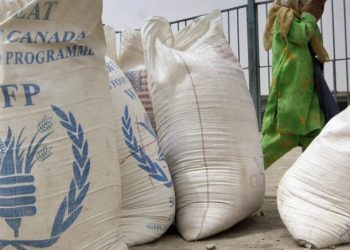 El Programa Mundial de Alimentos pide abrir corredores para introducir ayuda a Gaza