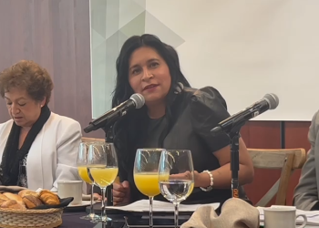 Acatará el senado la sentencia de la Suprema Corte para nombrar comisionados del INAI