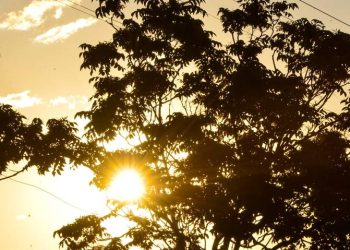 Las anomalías de temperatura son mayores que nunca, alerta la OMM