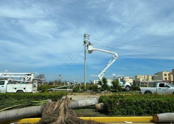 Pese al trabajo de la CFE en Acapulco, a cinco días del paso de Otis cientos de colonias sin luz