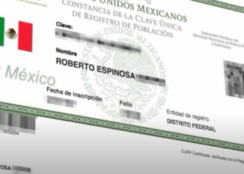 Capitalinos rechazan idea de CURP con fotografía y datos biométricos