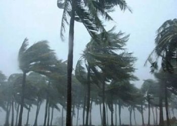 Levantan alerta en Sonora por alejamiento de Norma