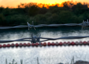 Texas demanda al Gobierno de Biden por cortar alambre de púas