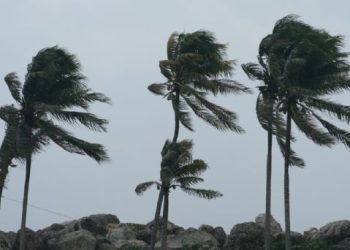 Sinaloa no registra afectaciones por huracán Lidia