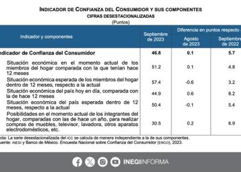 El Indicador de Confianza del Consumidor se ubicó en 46.8 puntos