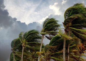 Norma toca tierra otra vez en el noroeste de México como depresión tropical