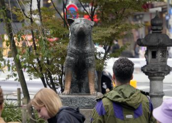 A 100 años, Hachiko sigue esperando a su dueño en la estación de tren de Shibuya