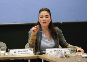 Reto: evitar violencia política en las precampañas y preocupante el triunfo de Javier Milei: Dania Ravel