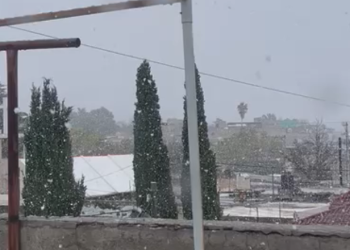 Caída de nieve sorprende a zacatecanos