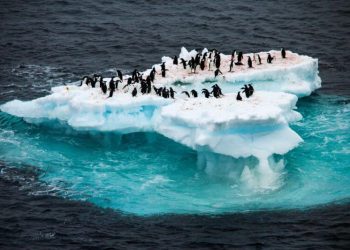 El hielo del polo sur en el nivel más bajo en 44 años