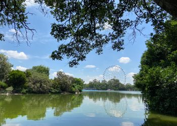 A restauración los lagos de Chapultepec; piden no alimentar a peces y patos