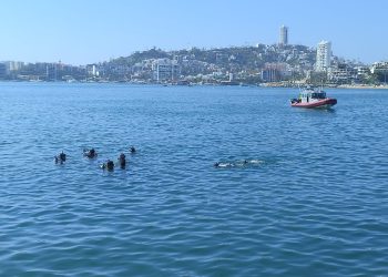 Marinos buscan cuerpos en terminal marítima de Acapulco