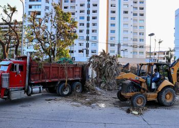 “A partir del 1 de diciembre no habrá basura en Acapulco”: Abelina López