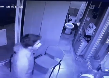 Puebla: Crece indignación por golpiza que da un joven a guardia de seguridad