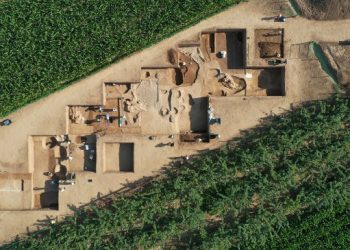 Encuentran más de 200 tumbas de 2,000 años de antigüedad en el centro de China