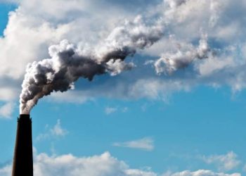 Unos bosques bien conservados podrían retirar el 30% del CO2 acumulado en la atmósfera