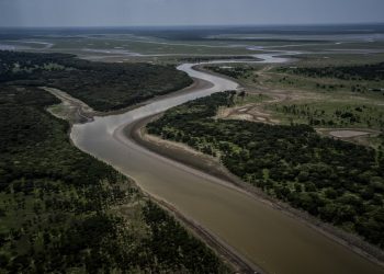 Google invierte 1.9 millones de dólares en plataforma para la recuperación de ecosistemas