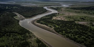 Google invierte 1.9 millones de dólares en plataforma para la recuperación de ecosistemas
