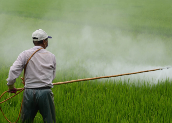 México enfrenta el reto de prescindir del glifosato y otros plaguicidas altamente peligrosos: especialistas