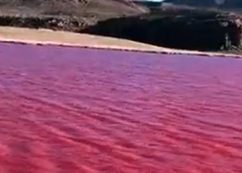¿Volvió el presagio bíblico a Egipto, se tiñe de rojo el Río Nilo?