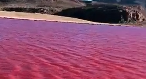 ¿volvió El Presagio Bíblico A Egipto Se Tiñe De Rojo El Río Nilo Enfoque Noticiasemk 6361