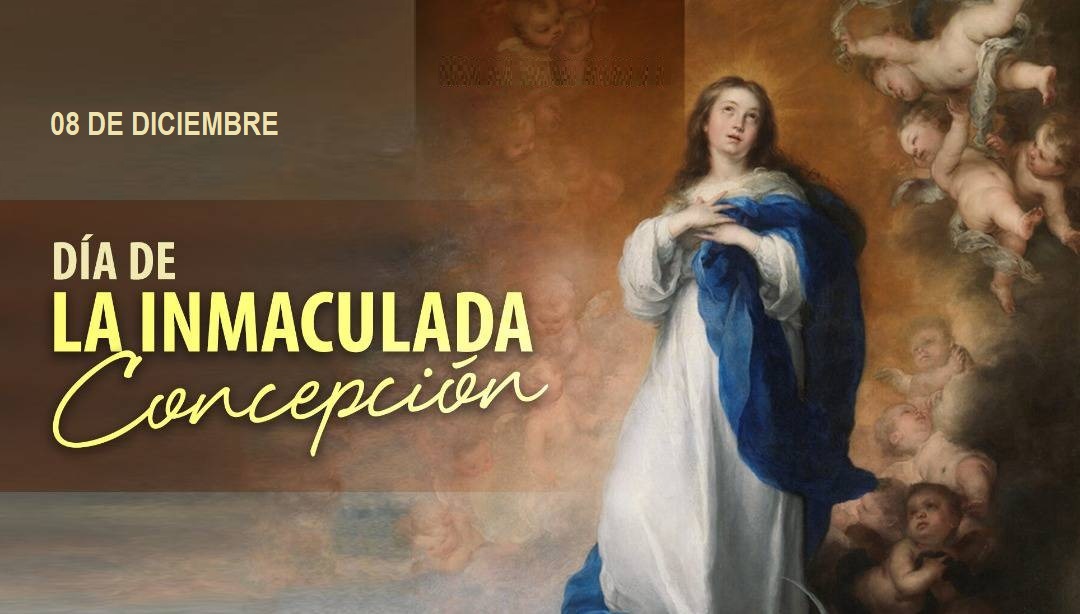 D A De La Inmaculada Concepci N Enfoque Noticias