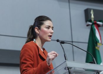 Los partidos incumplen con el presupuesto destinado a las mujeres: Dania Ravel