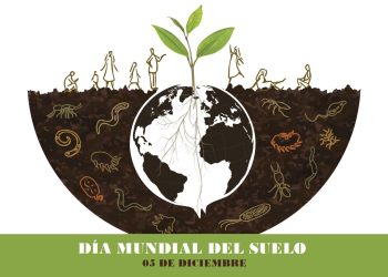 Día Mundial del Suelo