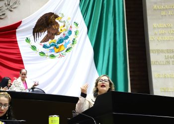 Garantiza el pleno de los diputados la no discriminación laboral por embarazo