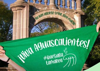 ¡Ya es oficial! Diputados de Aguascalientes aprueban despenalización del aborto