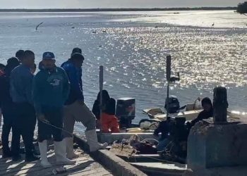 Sonora: Muere pescador al ser atacado por tiburón