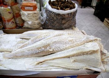 Oceana alerta que el bacalao se sustituye por tiburón 