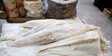 Oceana alerta que el bacalao se sustituye por tiburón 