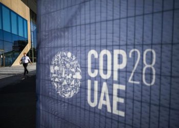 OPS califica como histórica la declaración de clima y salud de la COP28