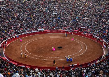“La reanudación de las corridas de toros es importante para la actividad comercial”: Tauromaquia Mexicana