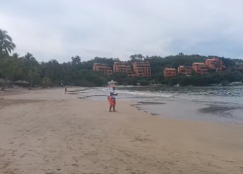 Turista muere al ser atacado por un animal en playa de Guerrero