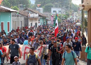 “En 2023, casi 800 mil personas han cruzado México en calidad de migrantes”: Experta