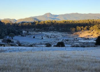Registran temperaturas bajo cero en comunidades del norte de Morelos
