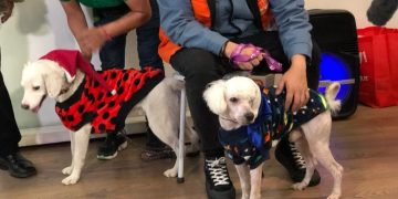 Perritos rescatados en el Metro entregarán cartas a Santa Claus y los Reyes Magos