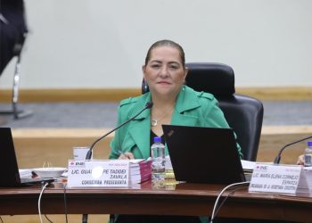 Guadalupe Taddei llama a autoridades electorales locales a fomentar la confianza