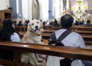 Mascotas reciben la bendición de San Antonio Abad, patrono de los animales