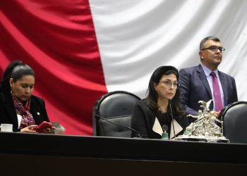 “La violencia e inseguridad en las carreteras afectan a la industria, al turismo y aleja las inversiones”: Marcela Guerra