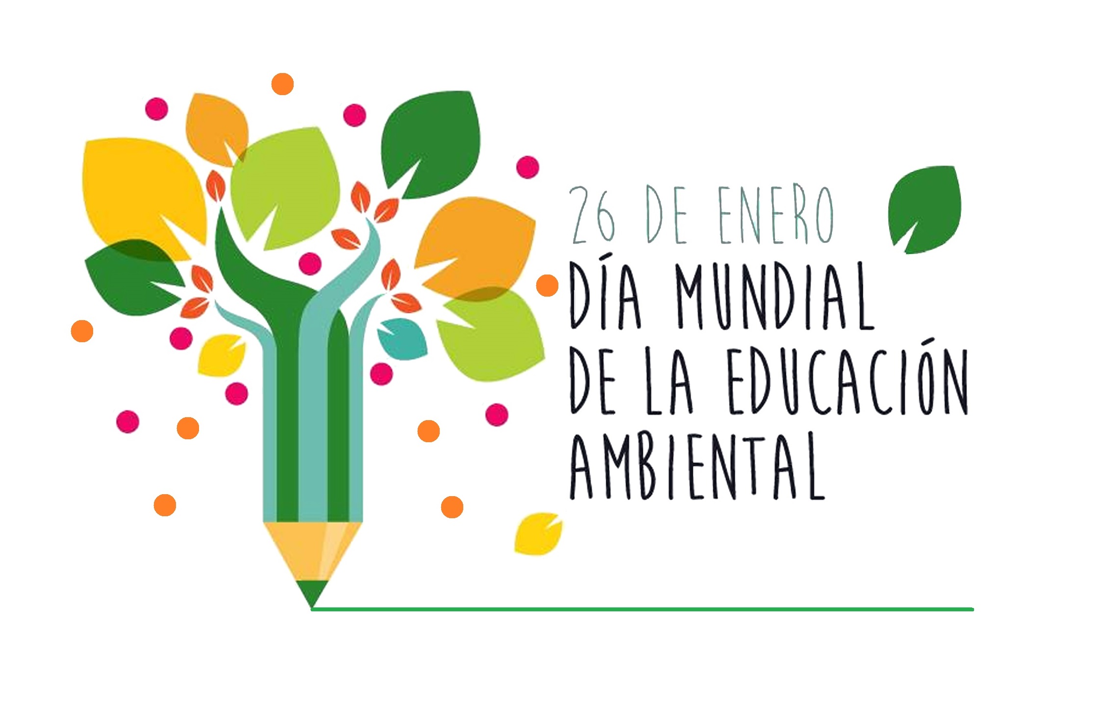 Día Mundial De La Educación Ambiental - Enfoque Noticias