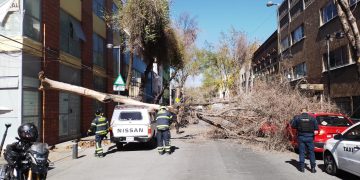 Activan alerta amarilla por fuertes vientos en CDMX
