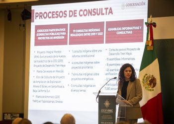 El año electoral será sumamente intenso: Luisa María Alcalde